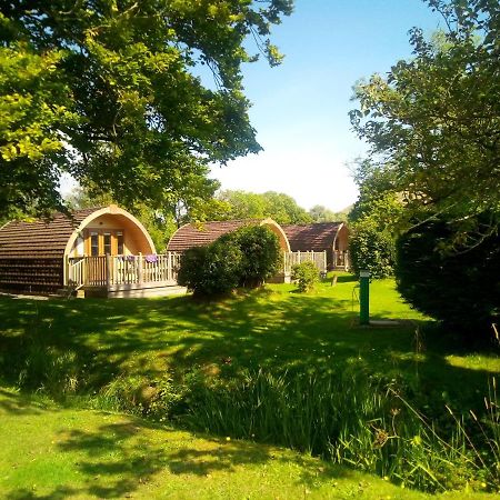 Campsie Glen Holiday Park Fintry Exterior foto