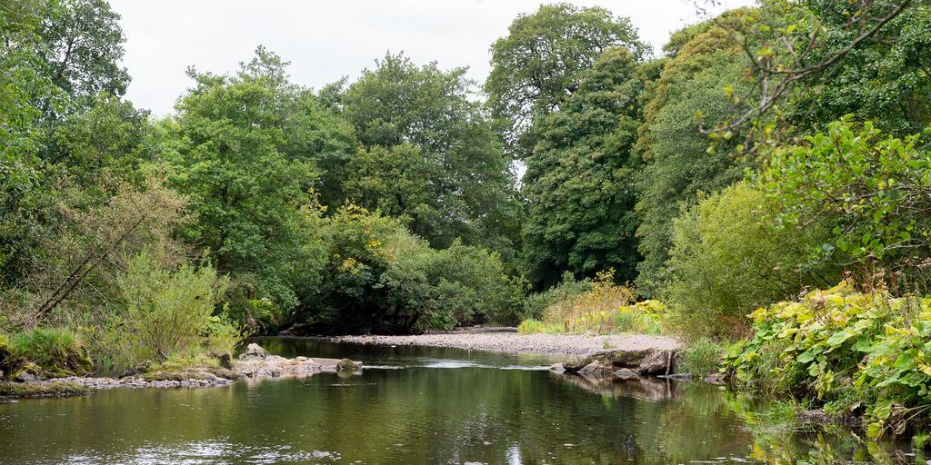 Campsie Glen Holiday Park Fintry Exterior foto